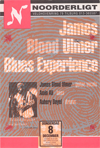 James 'Blood' Ulmer Blues Experience -  8 dec 1994